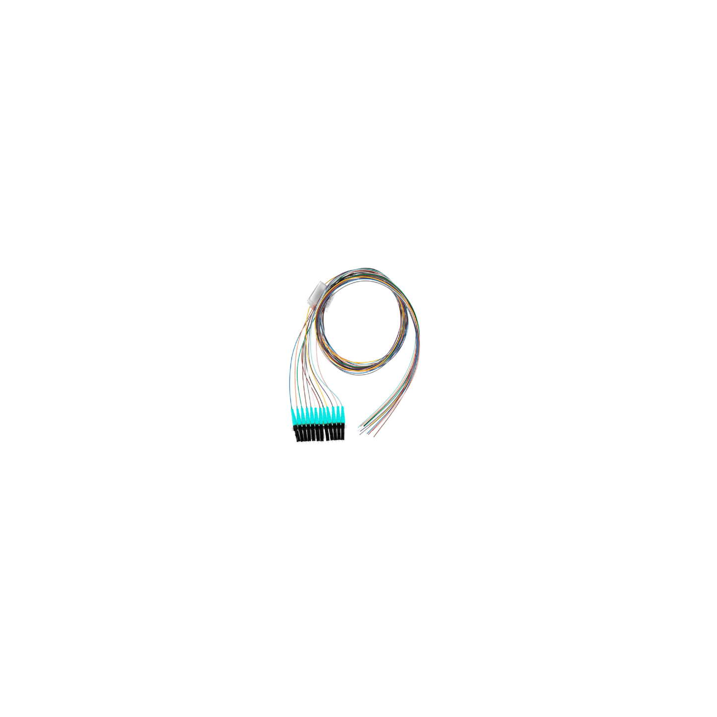 Kit de 12 Pigtails con Conector LC, Multimodo 50/125 OM4, 900um, de 1 Metro