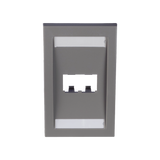 Placa de Pared Vertical Ejecutiva, Salida Para 2 Puertos Mini-Com, Con Espacios Para Etiquetas, Color Gris