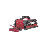 Cargador de Baterías / 12 o 24 Vcc / hasta 250 Ah / 25 A / Display LCD