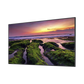 Pantalla Profesional LED de 65", UHD 4K (3840x2160p) / Entradas de Video HDM / Bocinas Integradas de 10 W. Compatible VESA / compatible con MagicInfo