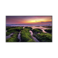 Pantalla Profesional LED de 65", UHD 4K (3840x2160p) / Entradas de Video HDM / Bocinas Integradas de 10 W. Compatible VESA / compatible con MagicInfo