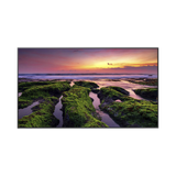 Pantalla Profesional LED de 65", UHD 4K (3840x2160p) / Entradas de Video HDM / Bocinas Integradas de 10 W. Compatible VESA / compatible con MagicInfo