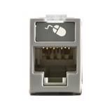 Jack UltraMAX Cat6, UTP, Montaje híbrido en Placa de Pared (Plano y Angulado), Color Gris, Punch Down