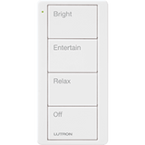 Control remoto inalambrico PICO, con escenas predefinidas para espacio en sala..